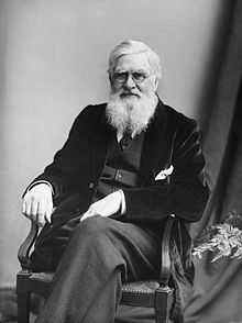 Wallace, Alfred Russel.jpg