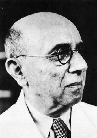 File:Weidenreich, Franz.jpg