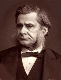 File:Huxley, Thomas Henry.jpg