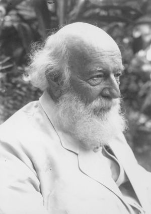 Brigham, William Tufts.jpg